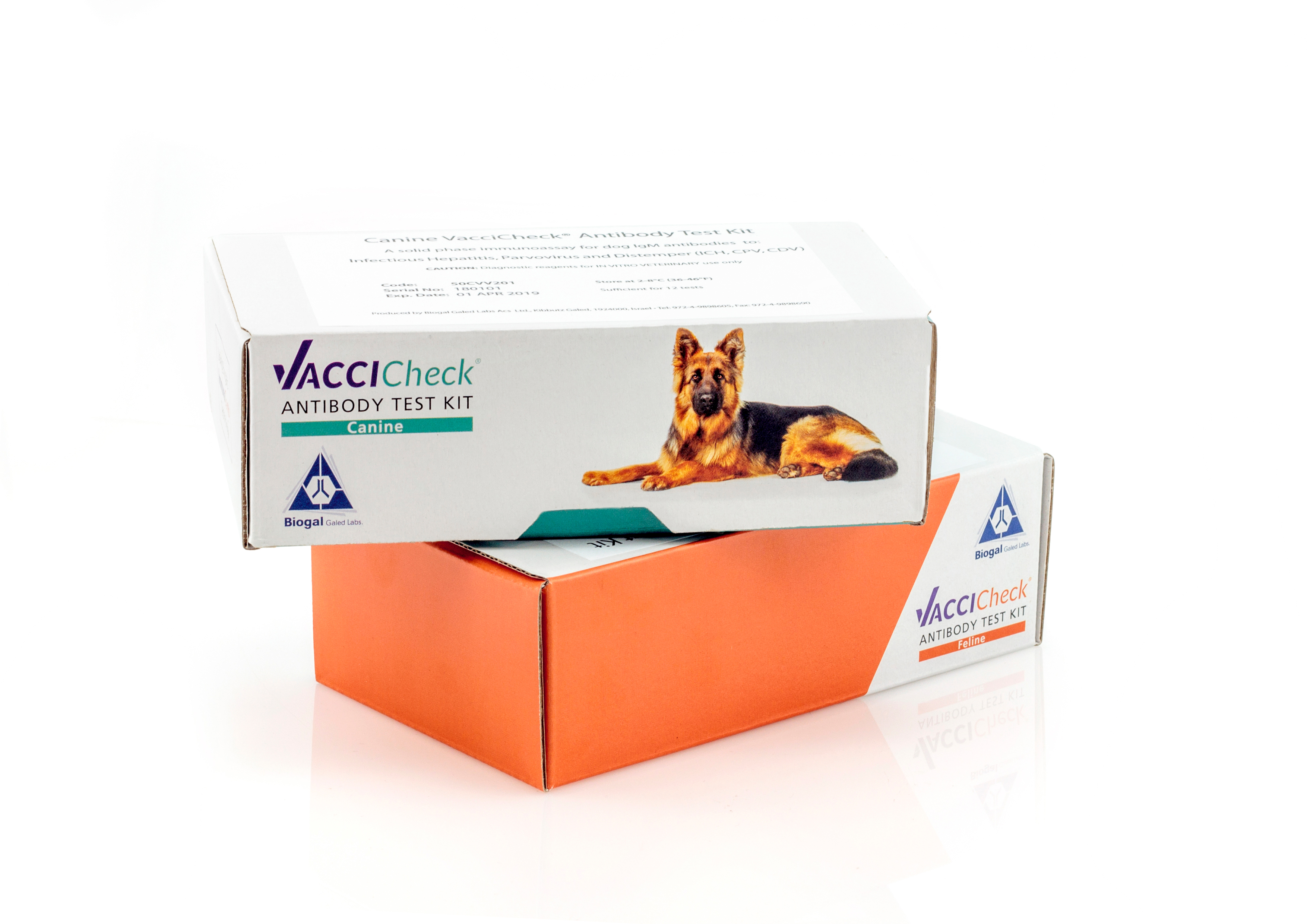 קיט ביוגל לבדיקת רמת נוגדני חיסון IgG בכלב (12 בדיקות)