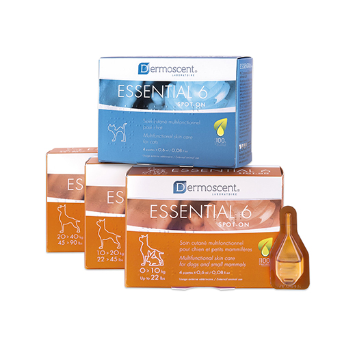 טיפות Essential6® spot-on לכלבים במשקל עד 10 ק"ג
