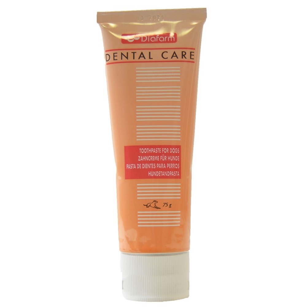 DENTAL CARE משחת שיניים אנזימתית