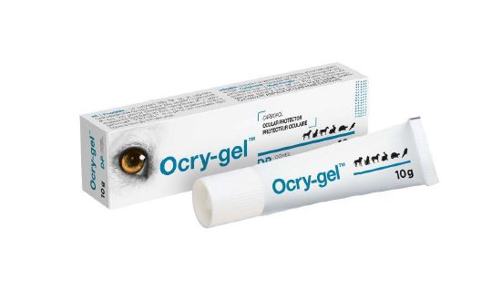 ג'ל עיניים OCRYGEL לסיכוך, שפופרת 10 גרם