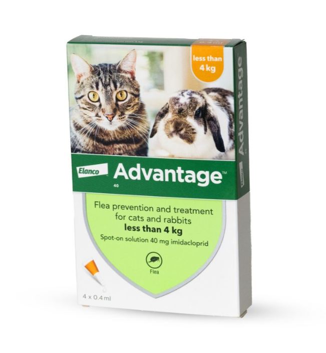 אדוונטג' לחתולים במשקל עד 4 ק"ג