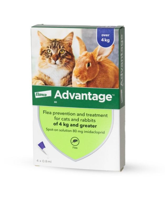 אדוונטג' לחתולים במשקל מעל 4 ק"ג