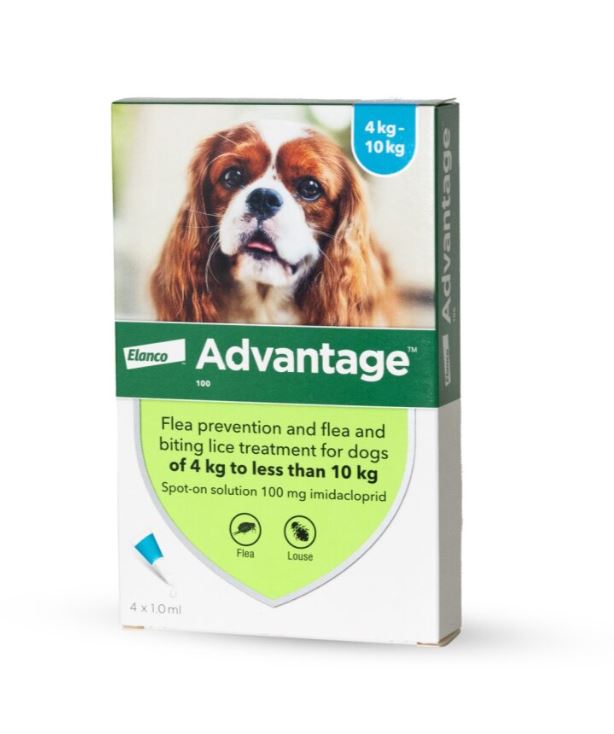 אדוונטג' לכלבים במשקל 4-10 ק"ג