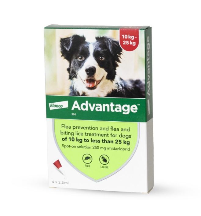 אדוונטג' לכלבים במשקל 10-25 ק"ג