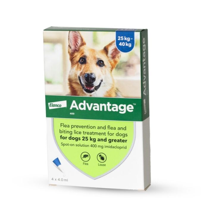 אדוונטג' לכלבים במשקל מעל 25 ק"ג