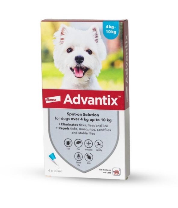 אדוונטיקס לכלבים במשקל 10-4 ק"ג