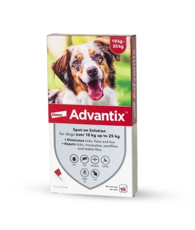 אדוונטיקס לכלבים במשקל 25-10 ק"ג