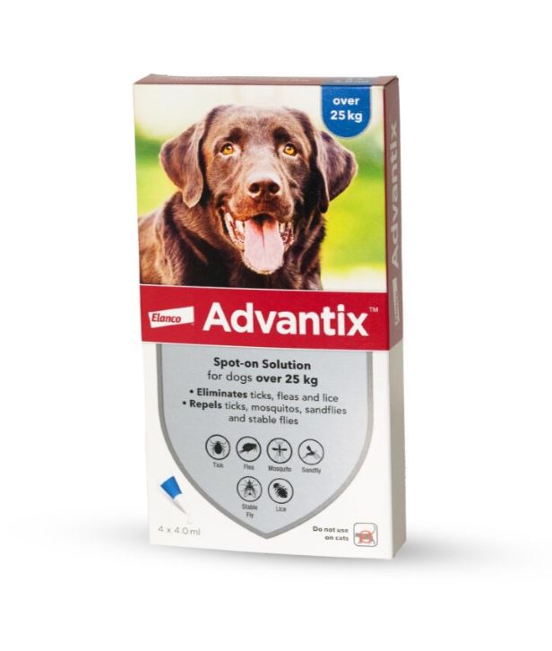 אדוונטיקס לכלבים במשקל מעל 25 ק"ג