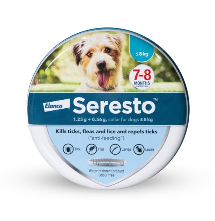 קולר סרסטו לכלב קטן עד 8 ק"ג, היקף 38 ס"מ