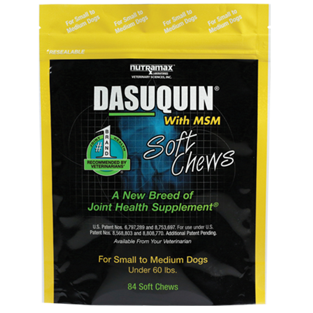 dasuquin plus