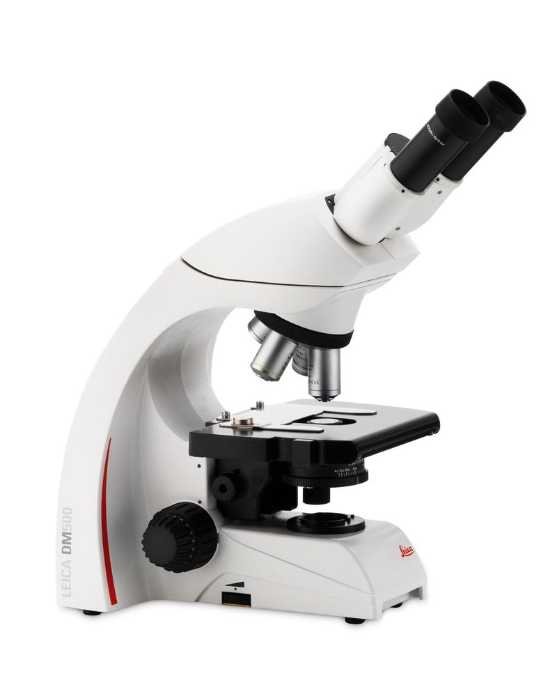 מיקרוסקופ בינוקולארי DM500 Leica